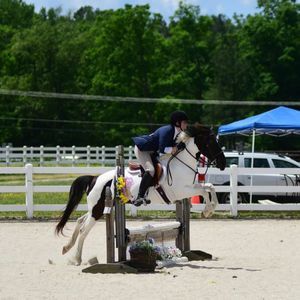 Meet your Posher, Madison